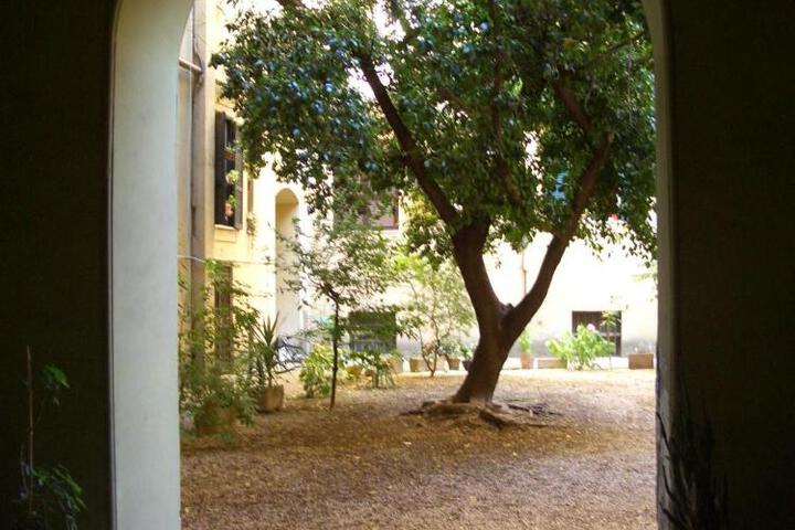 Photo 24
