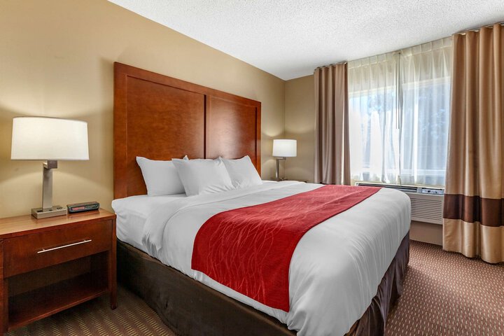 1 King Bed Accessible (5 of 10)