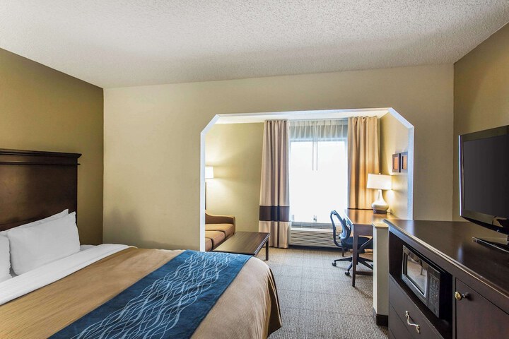 1 King Bed Suite (4 of 8)