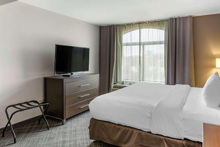 1 King Bed Accessible (12 of 18)