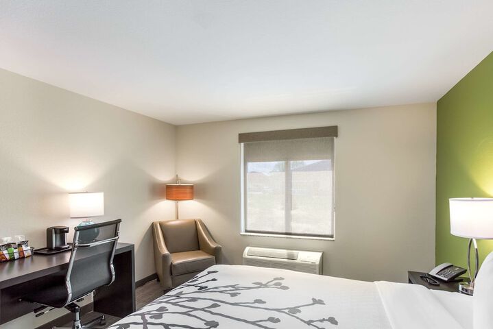 1 King Bed (2 of 13)