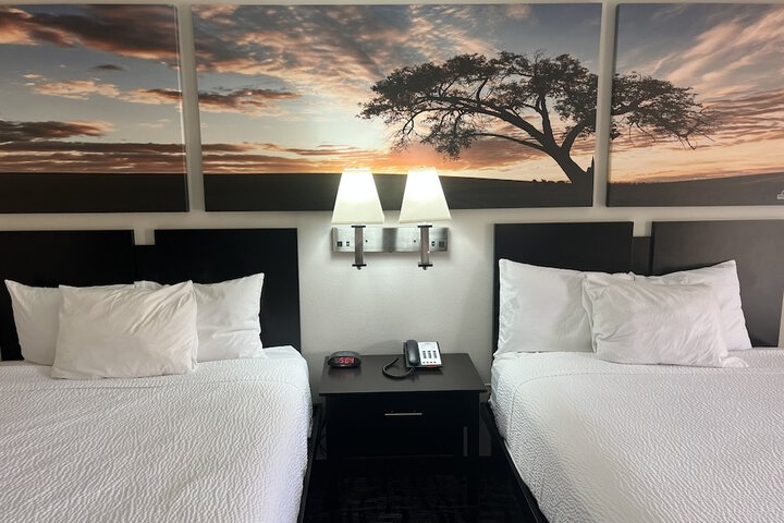 2 Queen Beds (1 of 16)