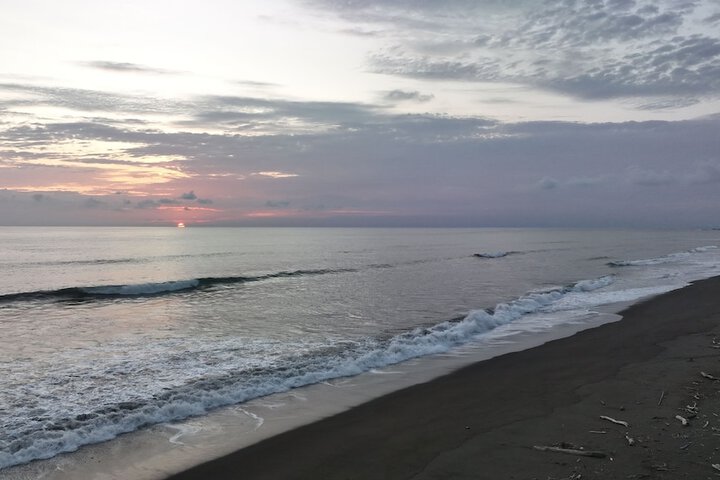 Beach 43 of 65