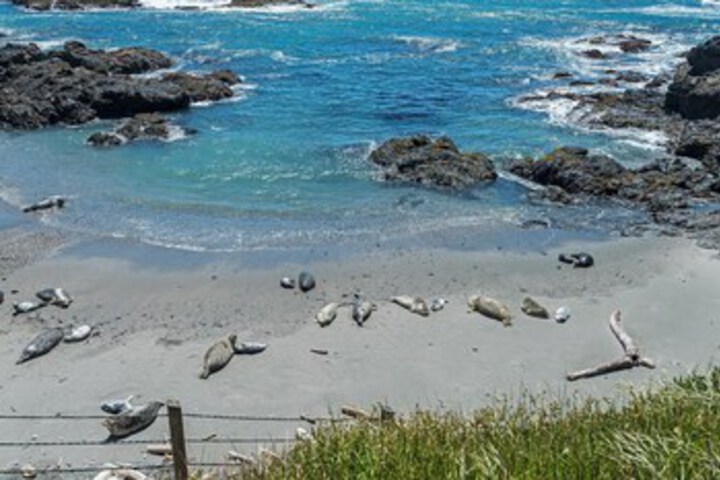 Beach 4 of 32