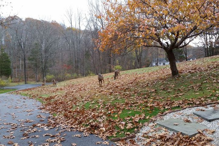 Property Grounds 45 of 48