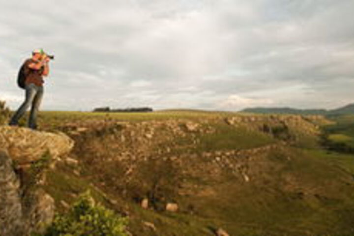 Property Grounds 39 of 49