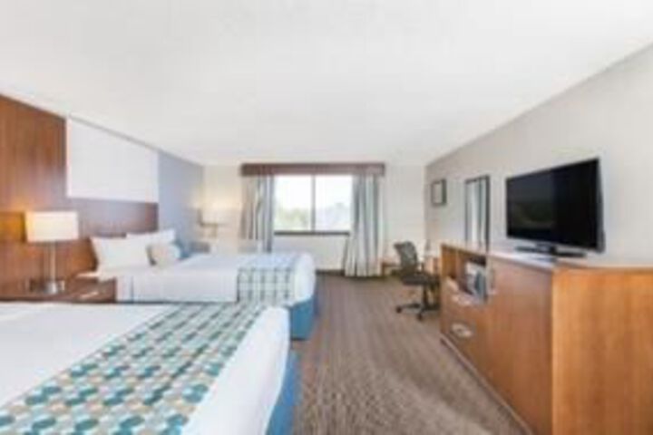 Room 5 of 24
