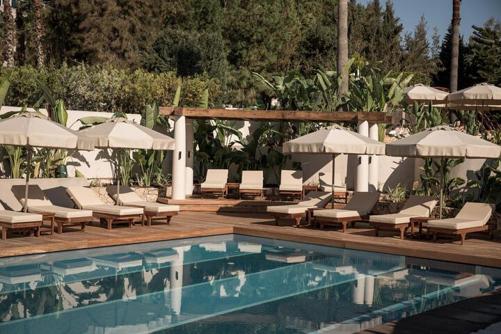Hotel Pool