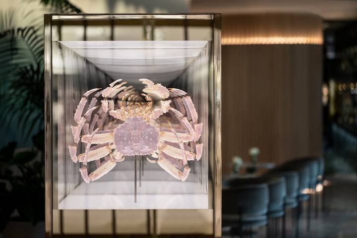 Hotel Interior 75 of 81