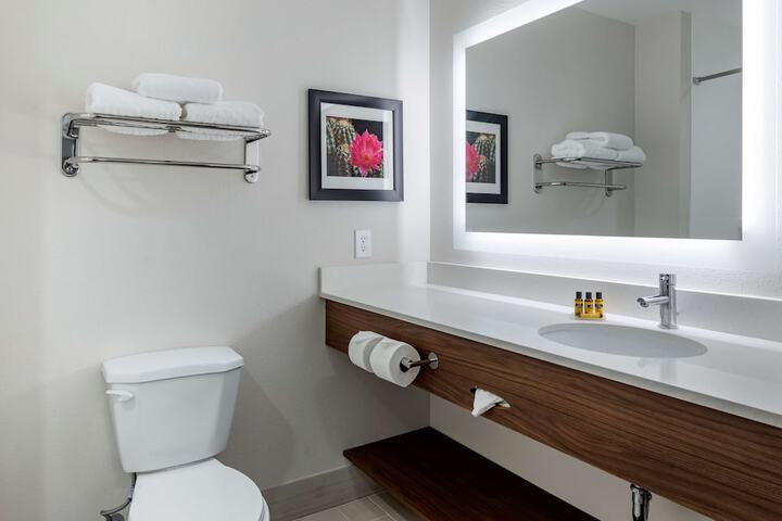 1 King Accessible Bathtb Microfridge High Speed Full Breakfast (3 of 11)