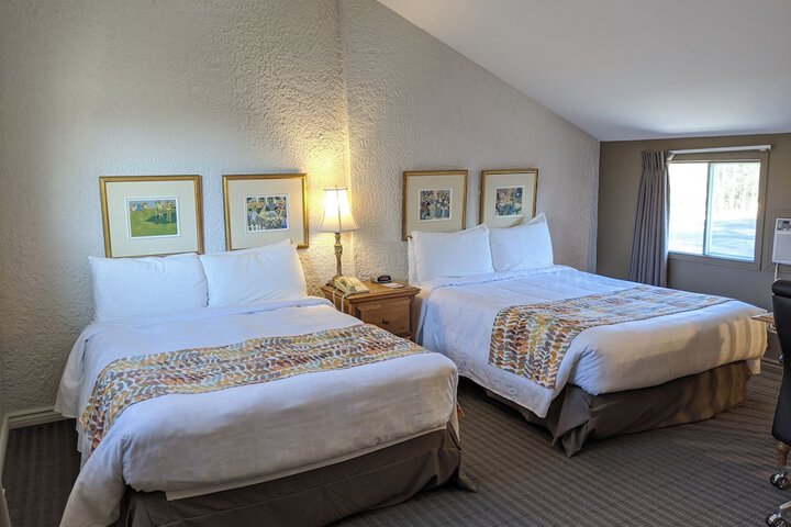 Standard Room, King or Two Doubles (7 of 12)