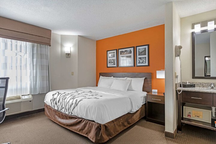 1 King Bed (7 of 10)
