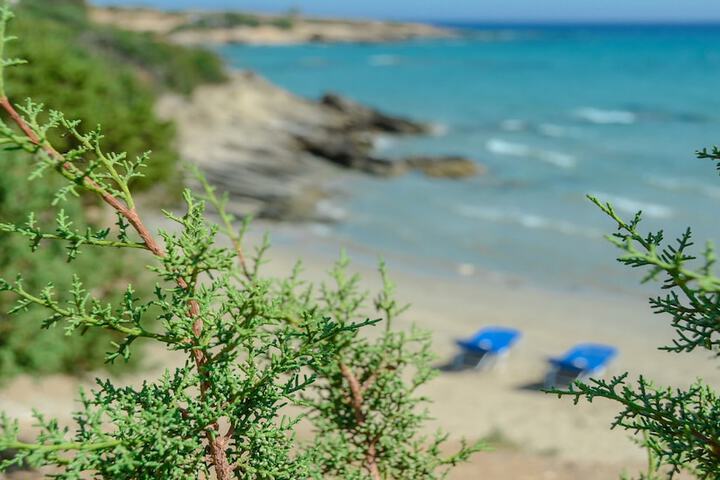 Beach 66 of 90