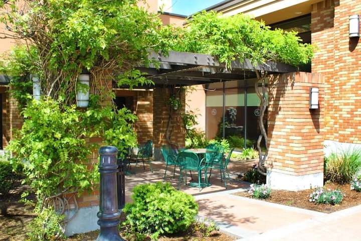 BBQ/picnic area