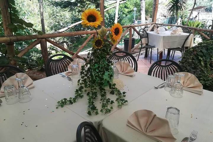 Dining 63 of 77