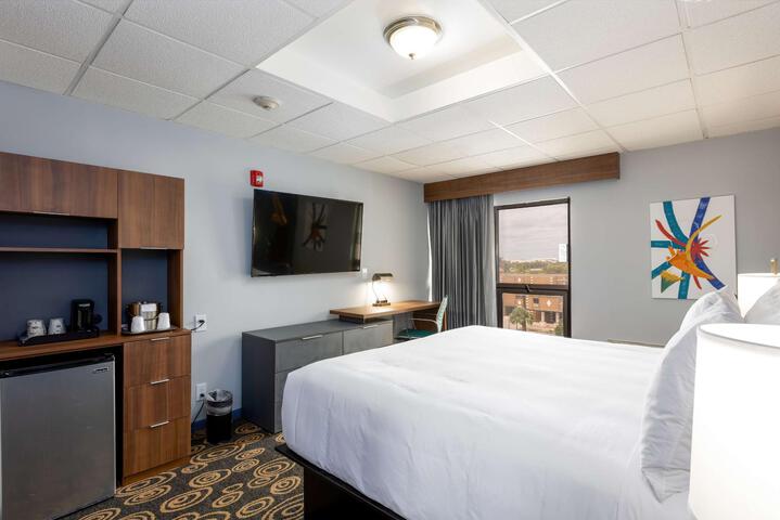 1 King Bed (15 of 19)