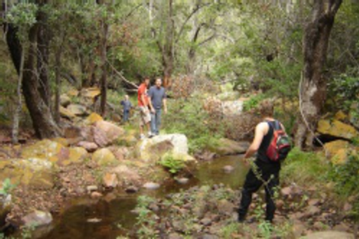 Outdoor Activities 67 of 792