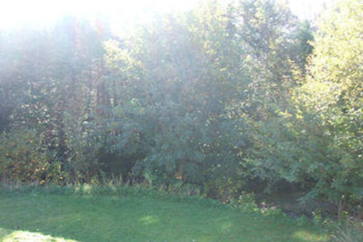 Property Grounds 27 of 29