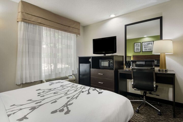 1 Queen Bed Accessible (11 of 12)