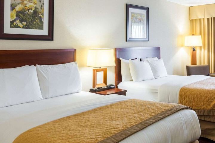 2 Queen Beds (3 of 10)