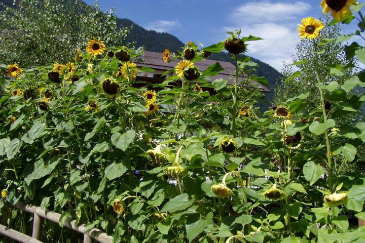 Fitness Facility Photos