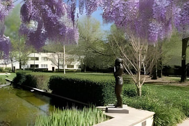 Photo 11