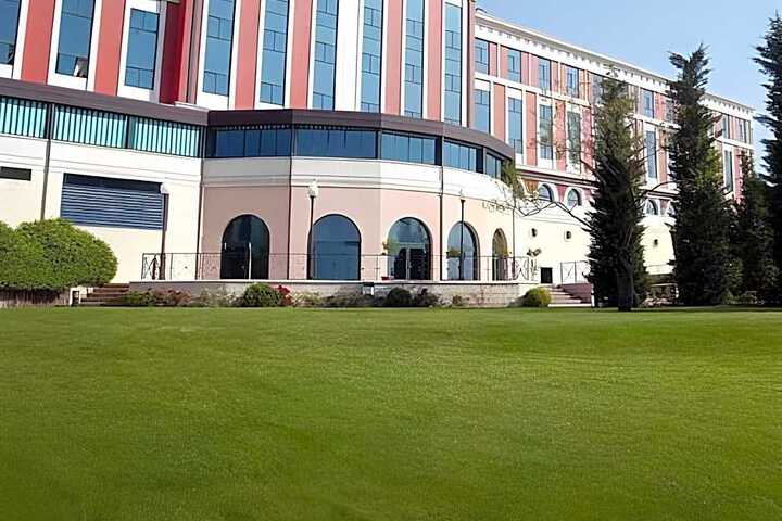 Photo 7