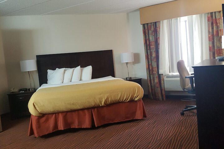 1 King Bed (30 of 35)