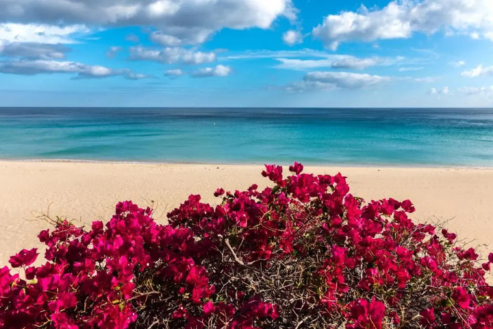Beach 10 of 11