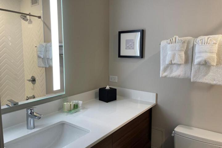 1 King Bed Accessible (6 of 12)