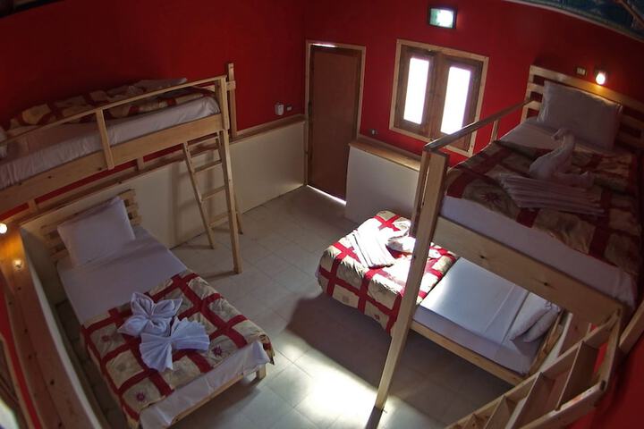Room 4 of 43