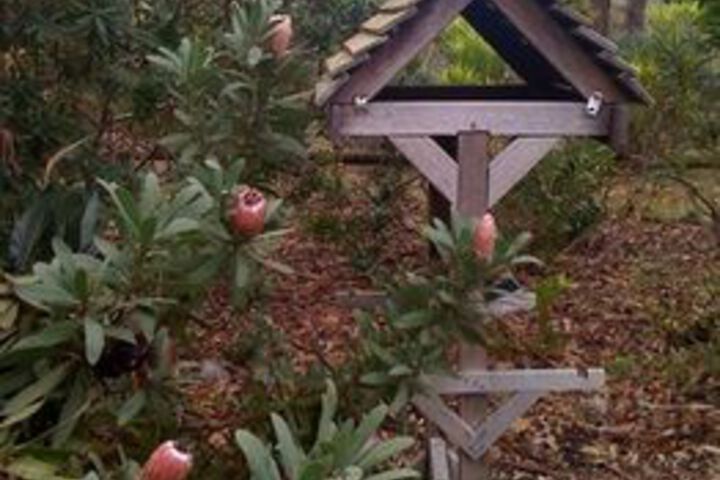 Property Grounds 161 of 177