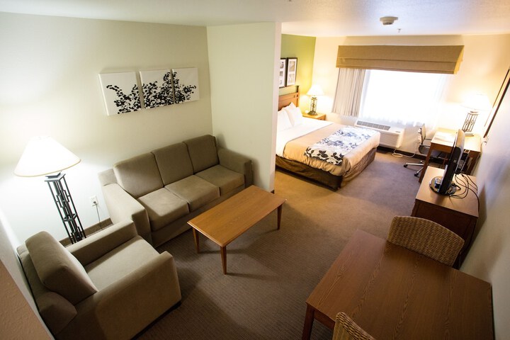 1 King Bed Suite (8 of 9)