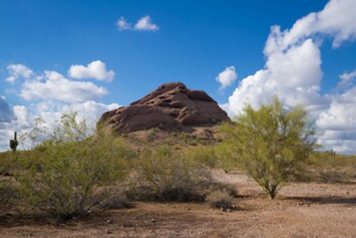 Property Grounds 25 of 30