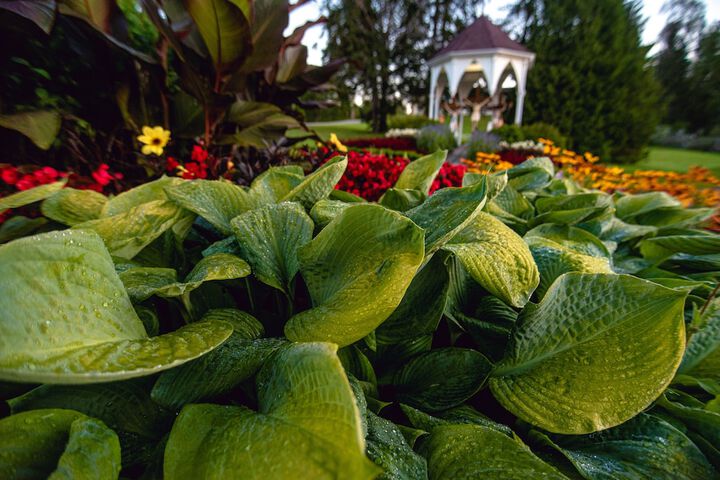 Hotel Exterior 69 of 78