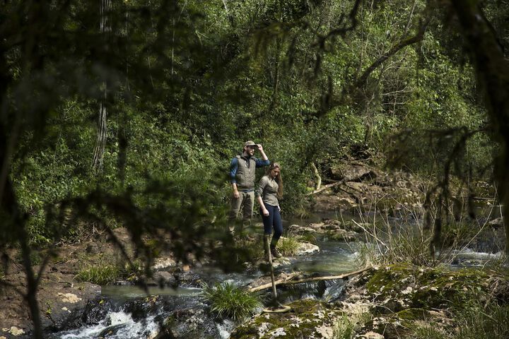 Hiking