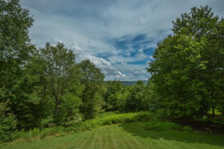 Property Grounds 19 of 24