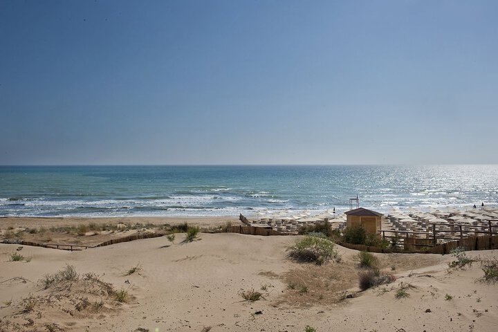 Beach 65 of 74