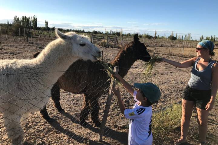 Children's activities