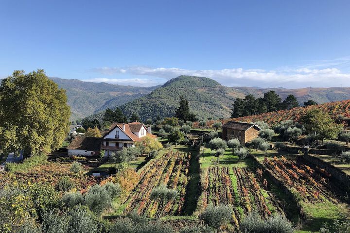 Quinta Vila Rachel