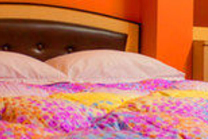 Hotel Mansarover