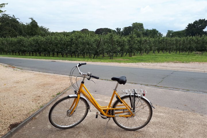 Bicycling