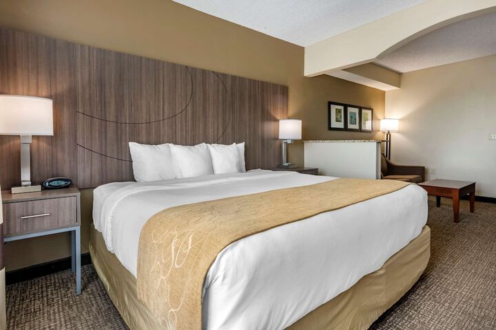 1 King Bed Suite (9 of 26)