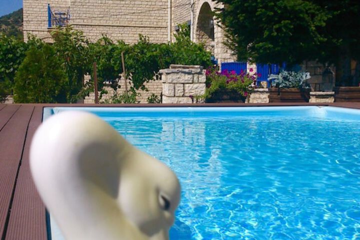 Pool 38 of 71