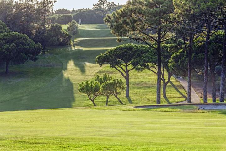 General 8 of 50