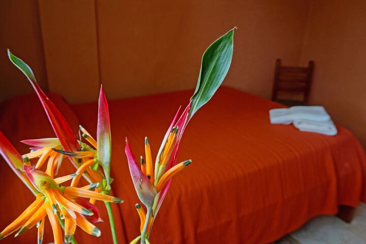 Room 14 of 50