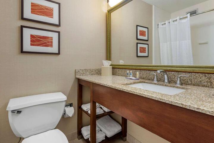 Standard Room, King or Two Doubles (6 of 8)