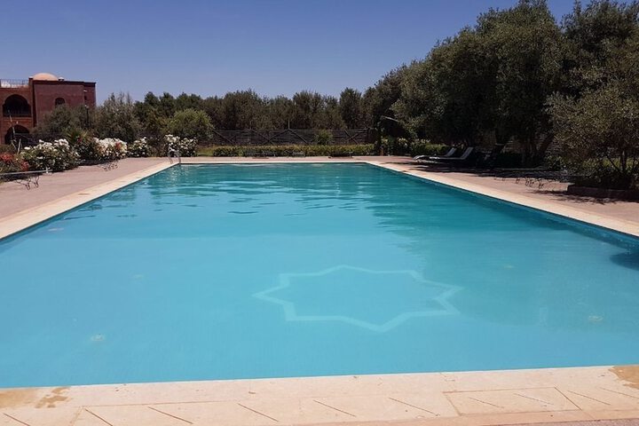 Pool 21 of 43