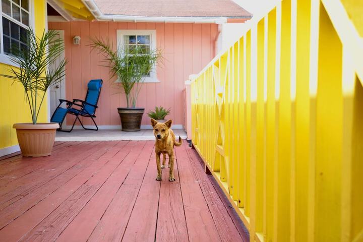 Terrace/Patio 20 of 47