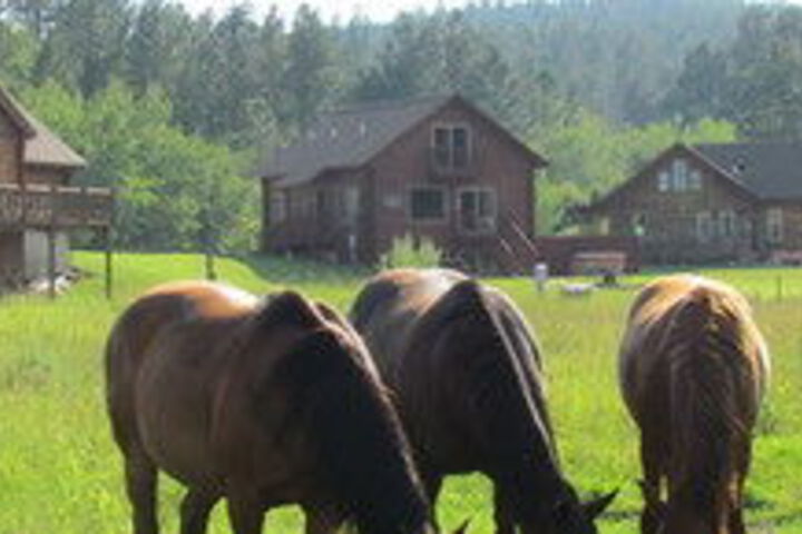 Property Grounds 176 of 193